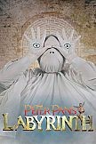 Peter Pan's Labyrinth